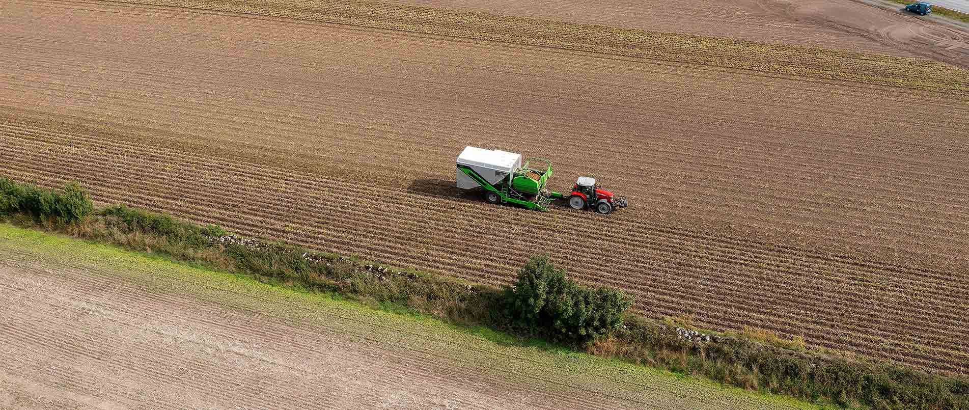 “探、收、烘、运”，看j9官网如何四管齐下一站式保障秋收果实