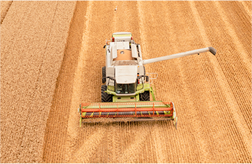收——加大收割自动化力度，利用智能收获系统，保种保收，提产提质