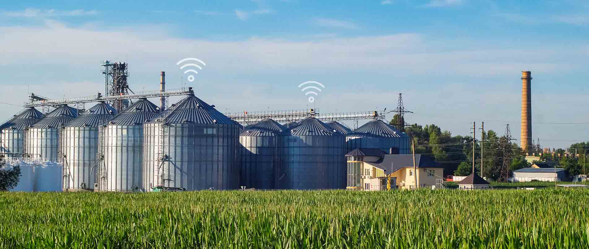 j9官网助力夏粮存储新招式，科技手段更有效